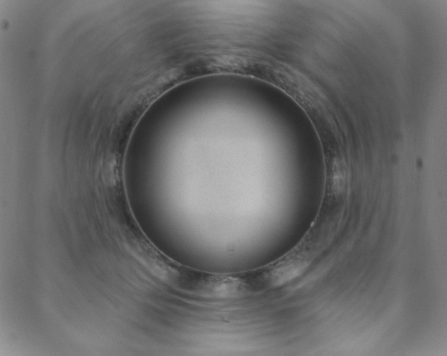 X0000088870514200706081219