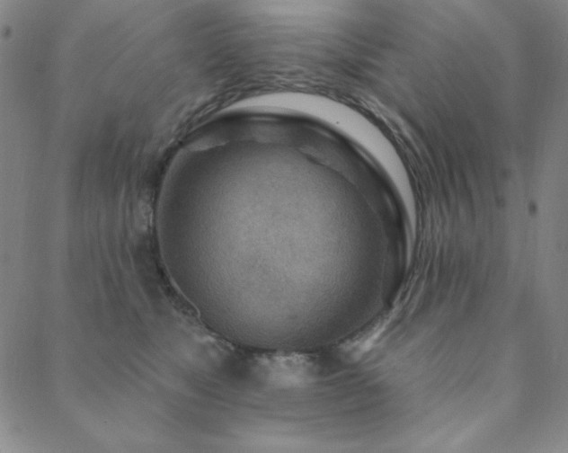 X0000088870517200706081219
