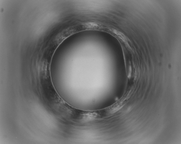 X0000088870525200706081219