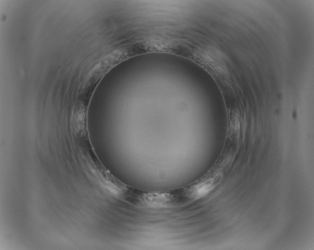 X0000088870526200706081218