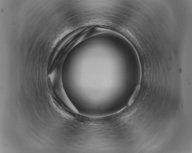 X0000088870530200706081218