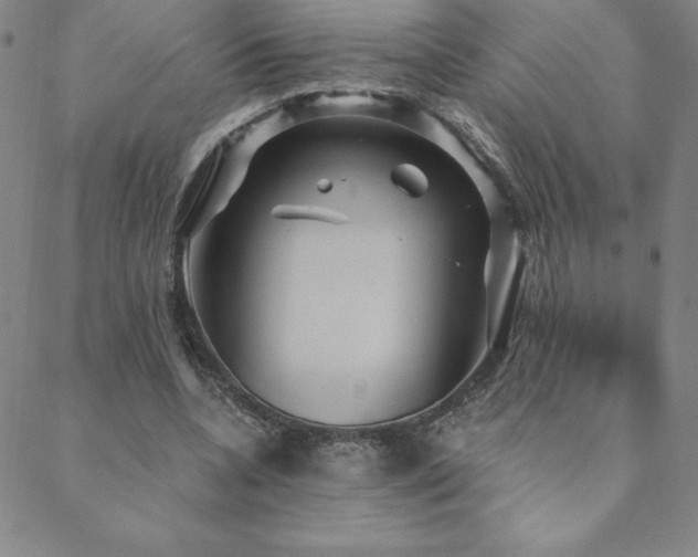 X0000088870536200706081218