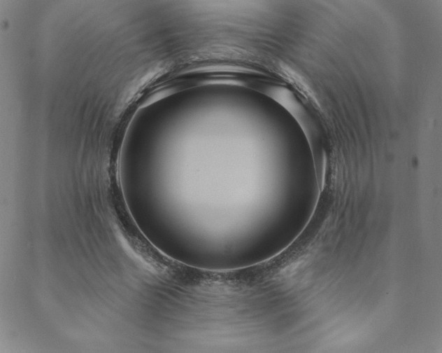 X0000088870538200706081218