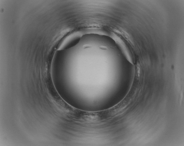 X0000088870552200706081218