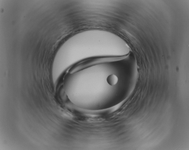 X0000088870556200706081218