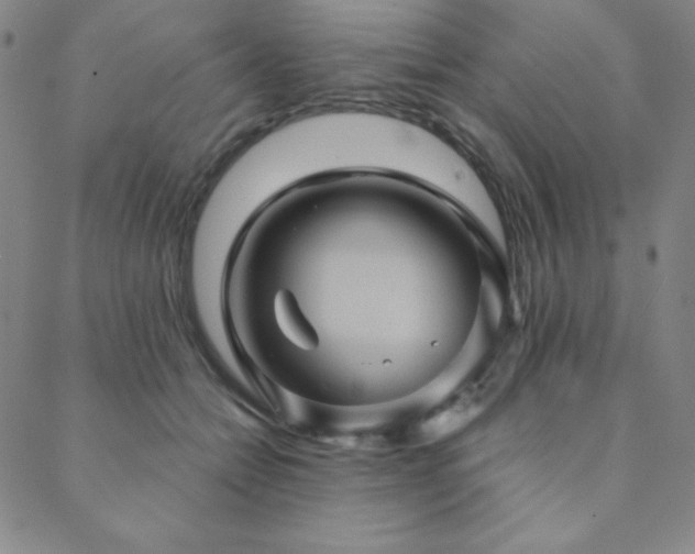 X0000088870558200706081218