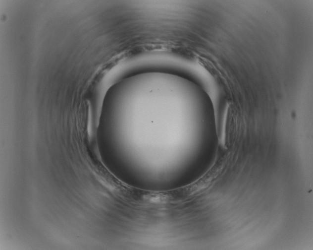 X0000088870564200706081218