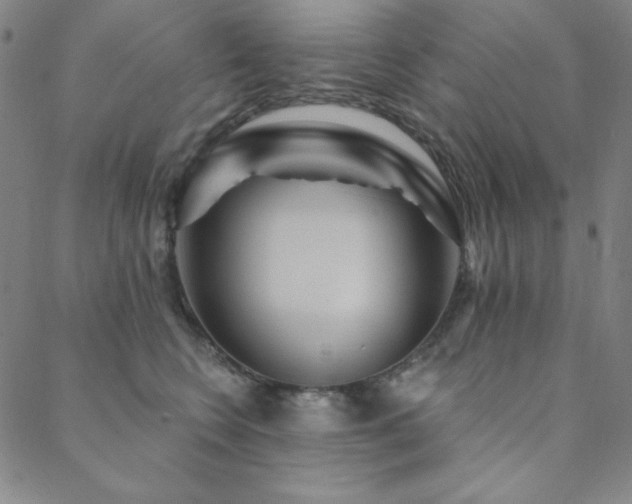 X0000088870566200706081218
