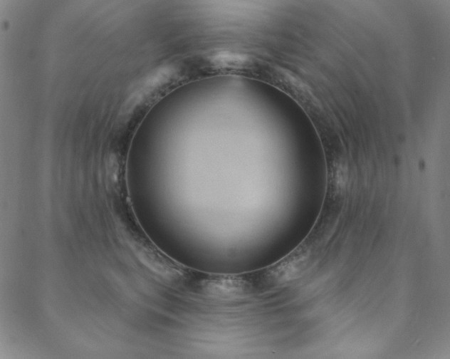 X0000088870567200706081218