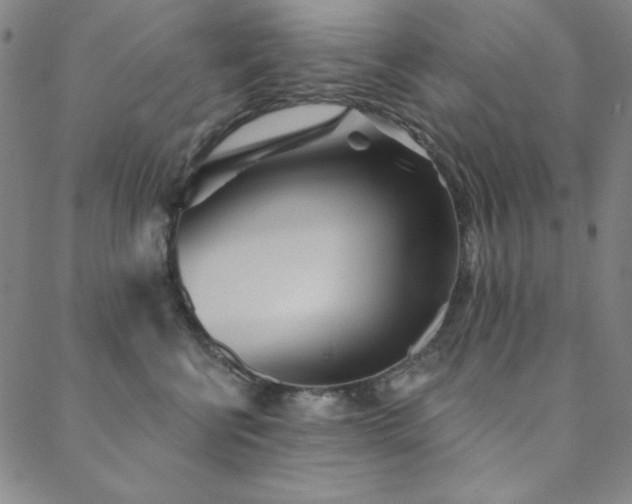 X0000088870570200706081218