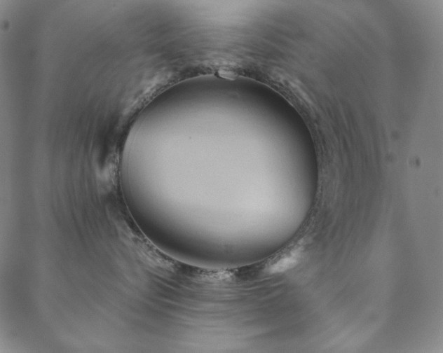 X0000088870576200706081218