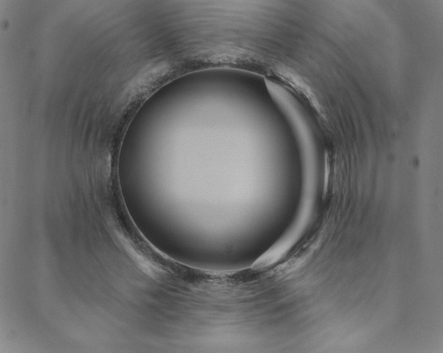 X0000088870589200706081217
