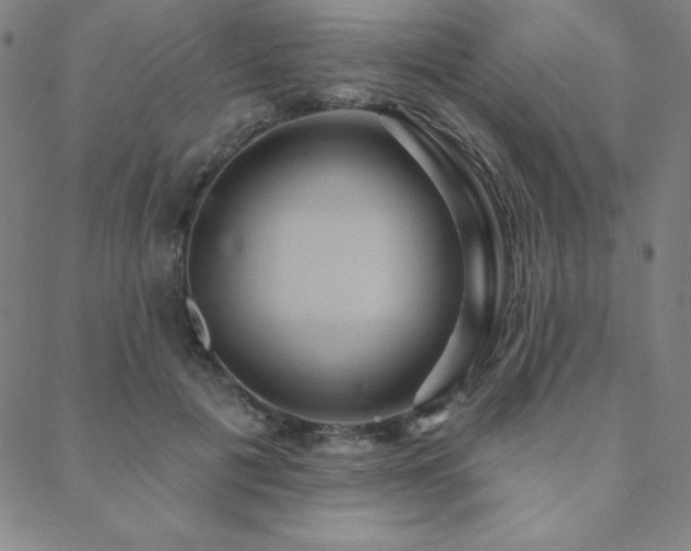 X0000088870601200706081217
