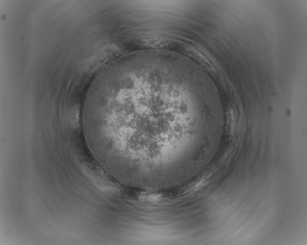 X0000088870602200706081217