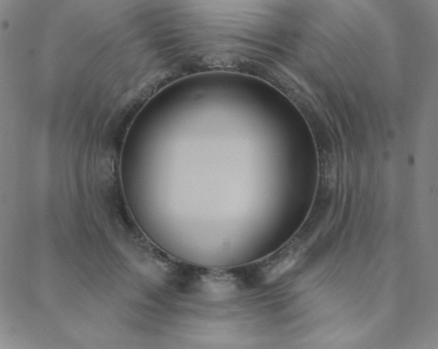 X0000088870603200706081217