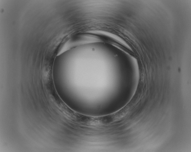 X0000088870604200706081217