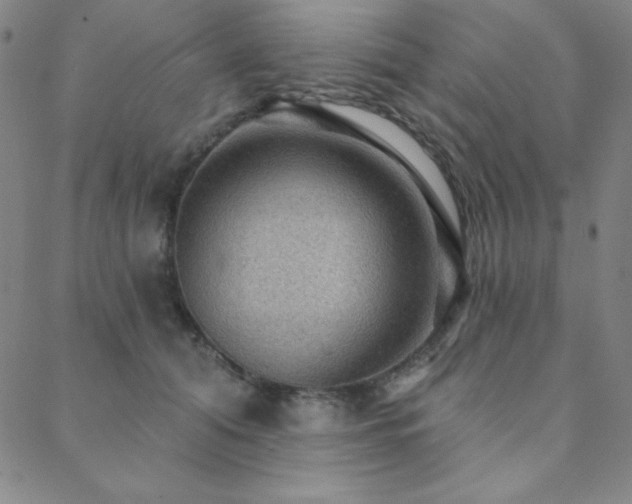 X0000088870608200706081217