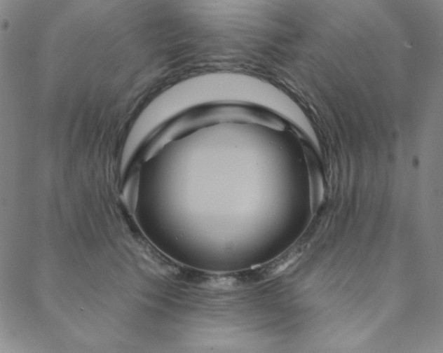 X0000088870609200706081217