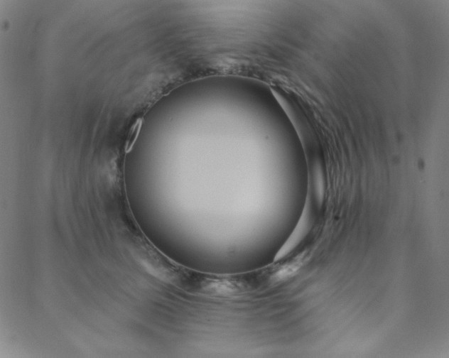 X0000088870611200706081217