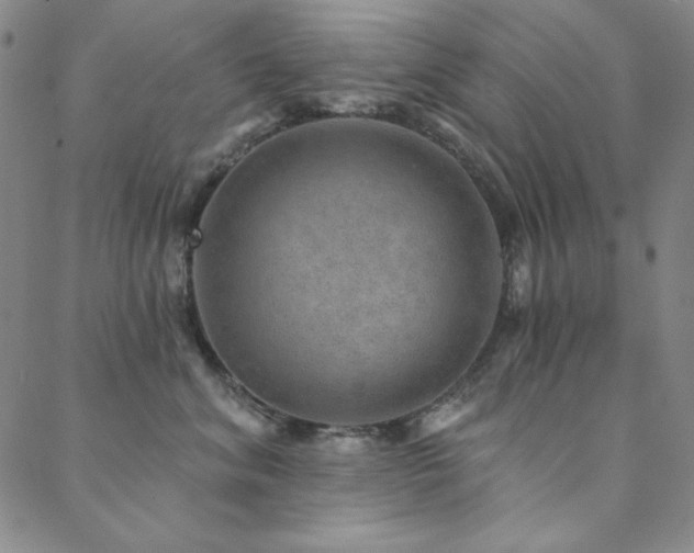 X0000088870620200706081217