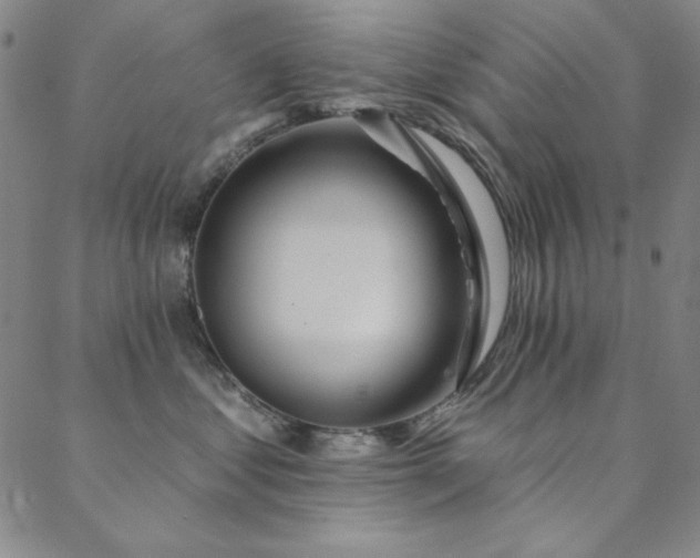 X0000088870621200706081217