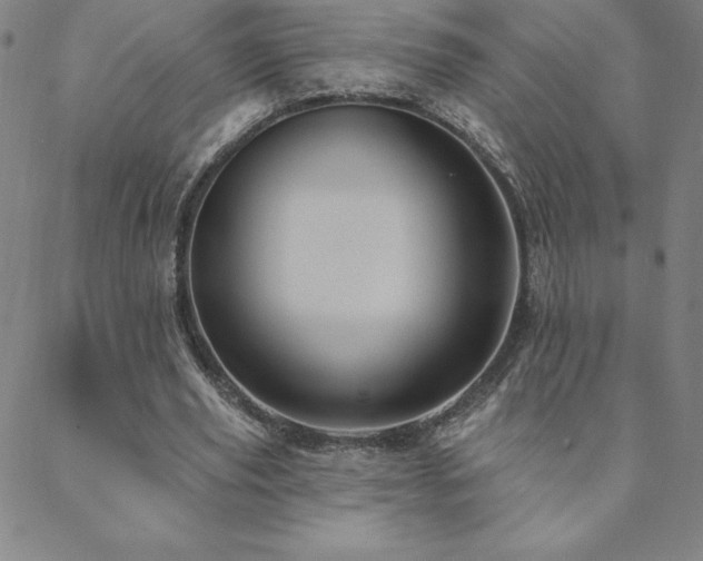 X0000088870629200706081216
