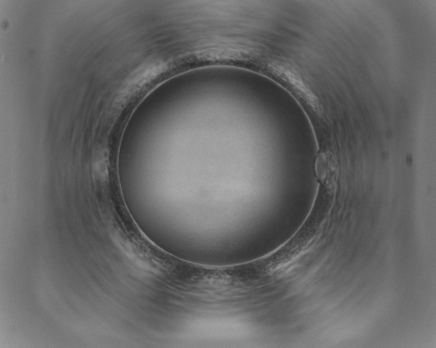 X0000088870631200706081216