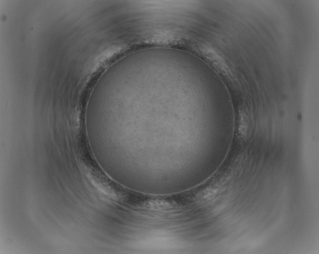X0000088870636200706081216