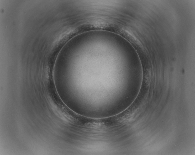 X0000088870639200706081216