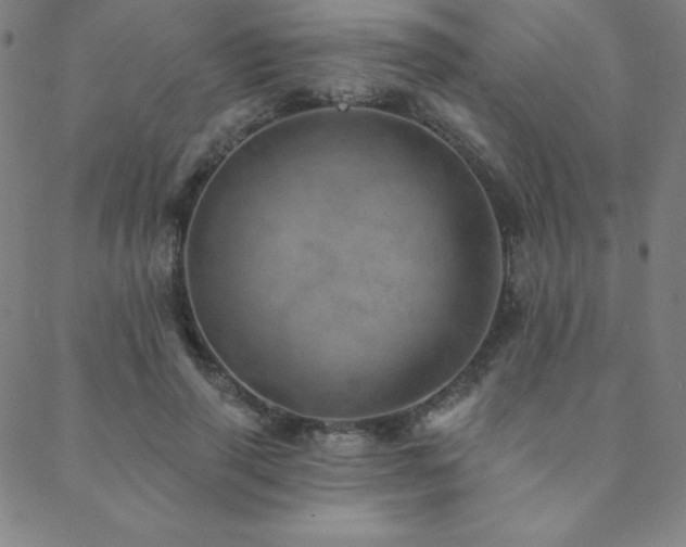 X0000088870645200706081216