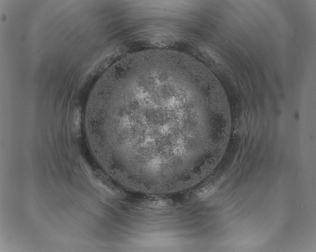 X0000088870646200706081216