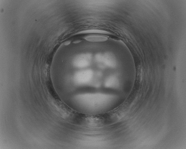 X0000088870650200706081217