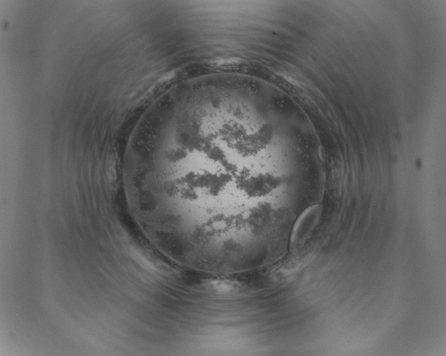X0000088870654200706081217