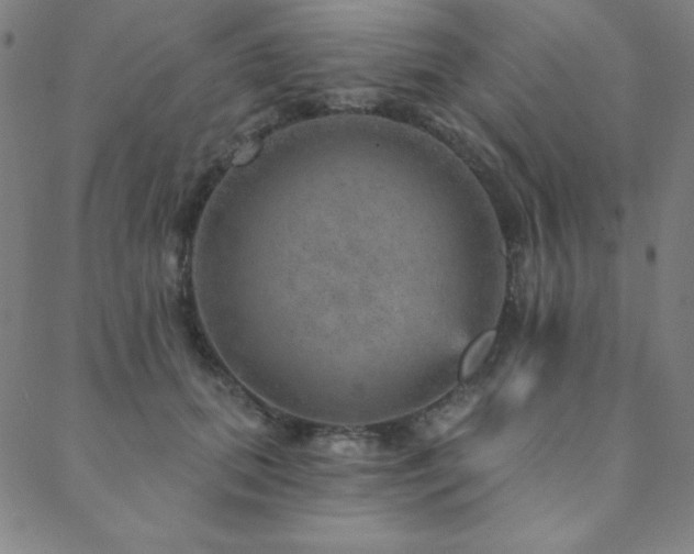 X0000088870655200706081217
