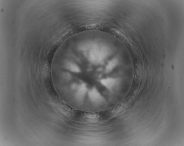 X0000088870659200706081217