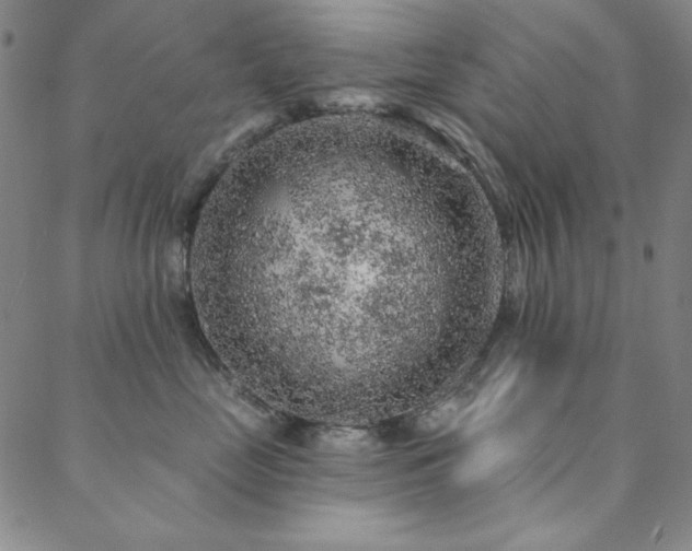 X0000088870669200706081217