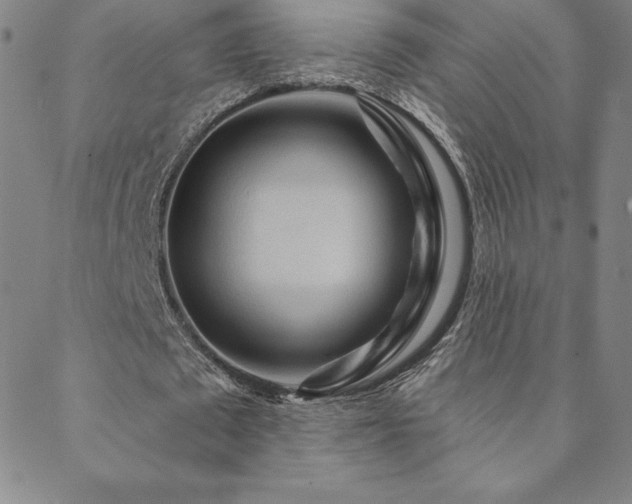 X0000088870673200706081216
