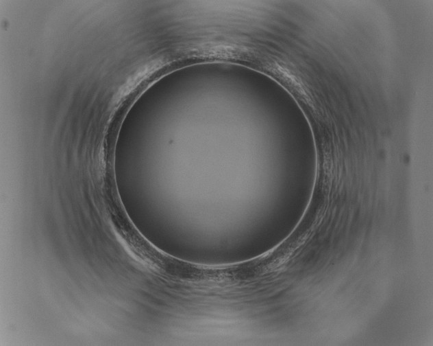 X0000088870674200706081216