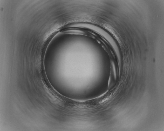 X0000088870677200706081216