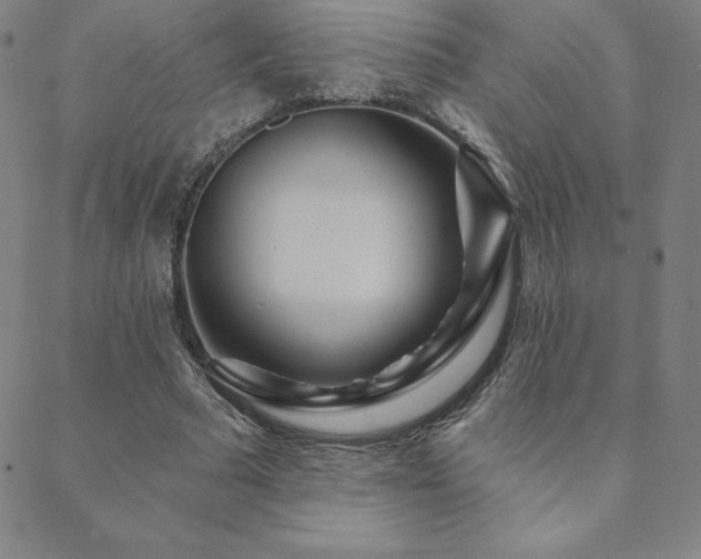 X0000088870681200706081216