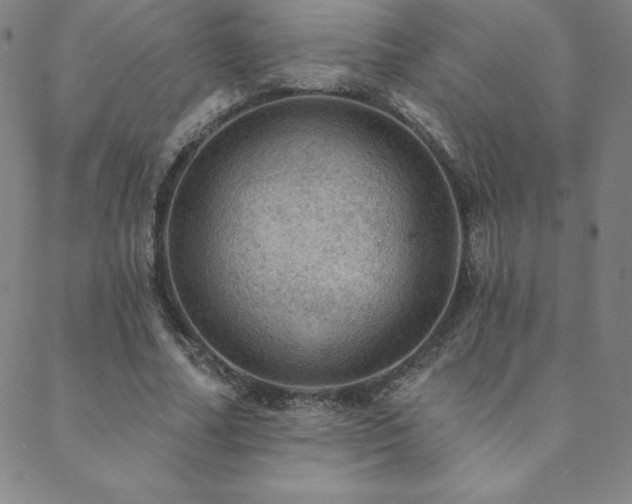 X0000088870682200706081216