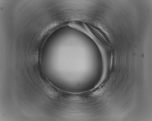 X0000088870685200706081216