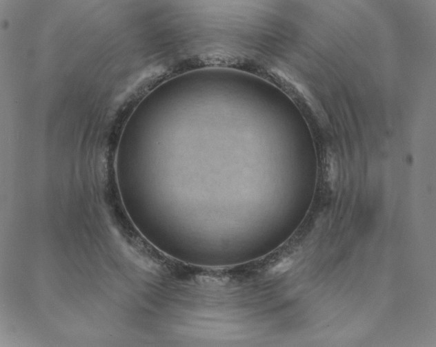 X0000088870690200706081216
