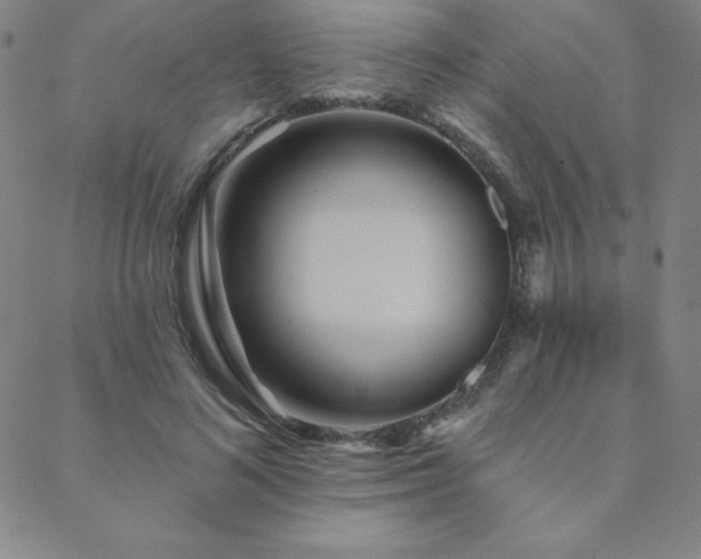 X0000088870692200706081216