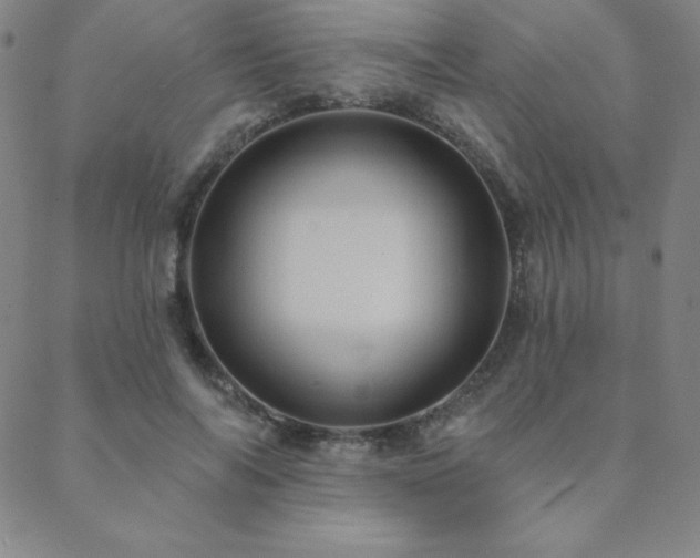 X0000088870694200706081216