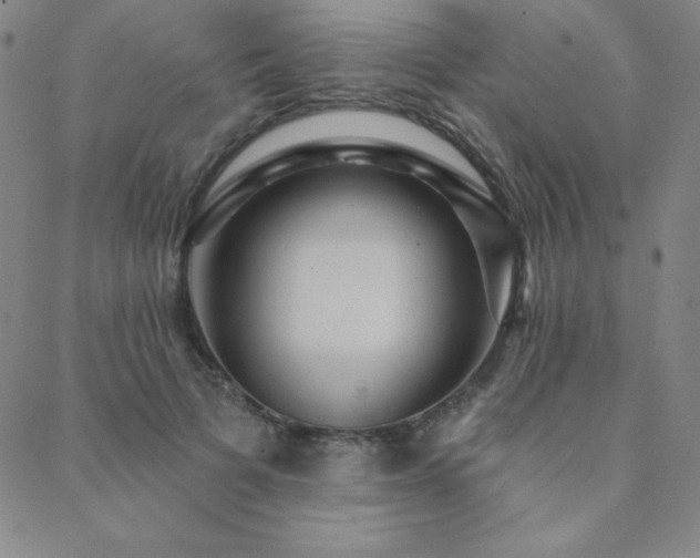 X0000088870697200706081216