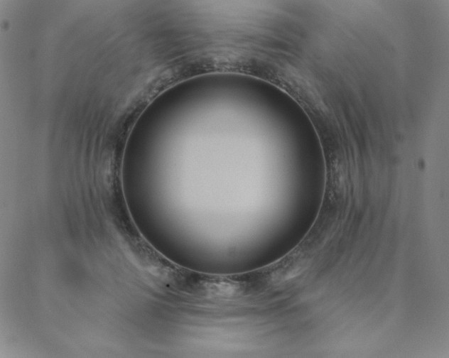 X0000088870698200706081216