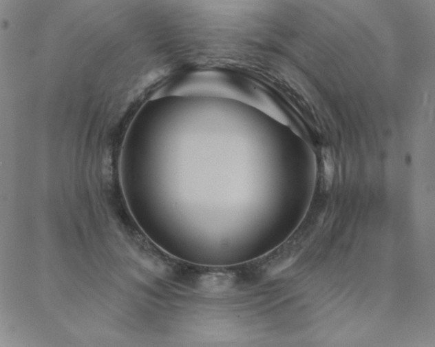 X0000088870700200706081216
