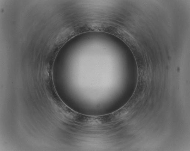 X0000088870702200706081216