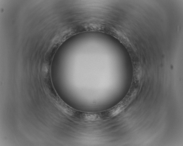 X0000088870709200706081216